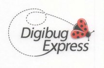 DIGIBUG EXPRESS