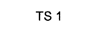 Image for trademark with serial number 76593322