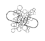 Image for trademark with serial number 76599219
