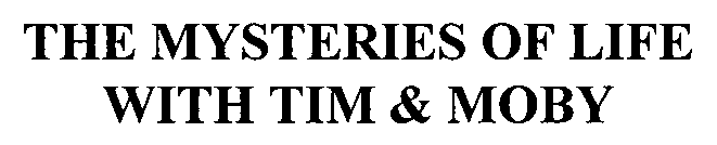 Image for trademark with serial number 76599594
