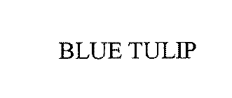 BLUE TULIP