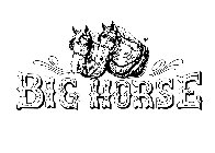 BIG HORSE