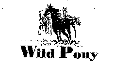 WILD PONY
