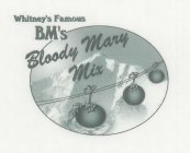 WHITNEY'S FAMOUS BM'S BLOODY MARY MIX