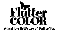 FLUTTER COLOR ATTRACT THE BRILLIANCE OF BUTTERFLIES