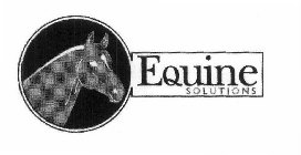 EQUINE SOLUTIONS