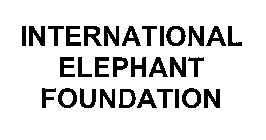 INTERNATIONAL ELEPHANT FOUNDATION