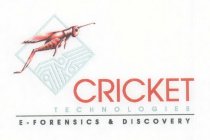 CRICKET TECHNOLOGIES E - FORENSICS & DISCOVERY