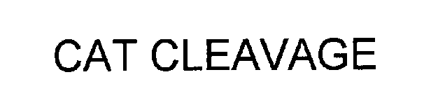 CAT CLEAVAGE