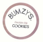 BUMZY'S CHOCOLATE CHIP COOKIES