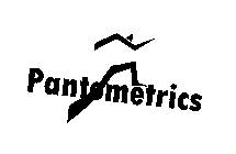 PANTOMETRICS