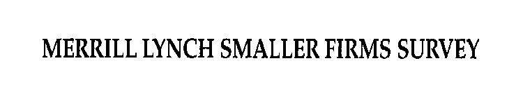 MERRILL LYNCH SMALLER FIRMS SURVEY