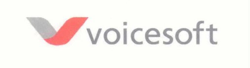 V VOICESOFT