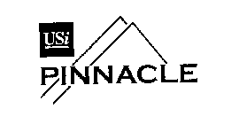 USI PINNACLE