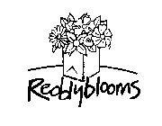 REDDYBLOOMS