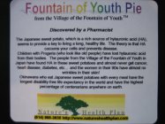 FOUNTAIN OF YOUTH PIE FROM THE VILLAGE OF THE FOUNTAIN OF YOUTH
