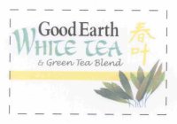 GOOD EARTH WHITE TEA & GREEN TEA BLEND