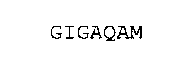 GIGAQAM