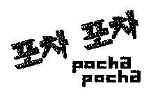 POCHA POCHA