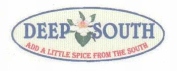 DEEP SOUTH ADD A LITTLE SPICE FROM THE SOUTH