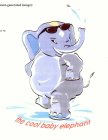 THE COOL BABY ELEPHANT