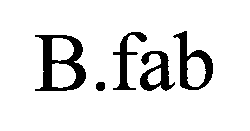 B.FAB