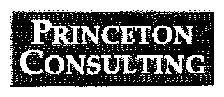 PRINCETON CONSULTING