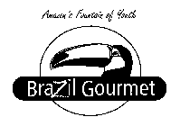 AMAZON'S FOUNTAIN OF YOUTH BRAZIL GOURMET