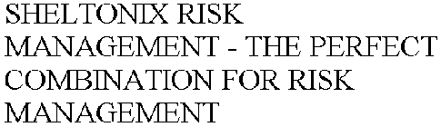 SHELTONIX RISK MANAGEMENT - THE PERFECT COMBINATION FOR RISK MANAGEMENT