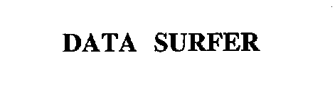 DATA SURFER