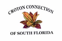 CROTON CONNECTION OF SOUTH FLORIDA