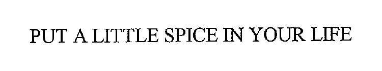 PUT A LITTLE SPICE IN YOUR LIFE