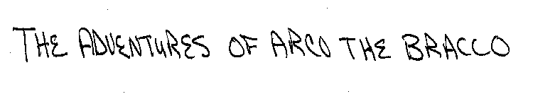 THE ADVENTURES OF ARCO THE BRACCO