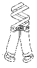 GENE