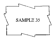 SAMPLE 35