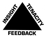 INSIGHT TENACITY FEEDBACK