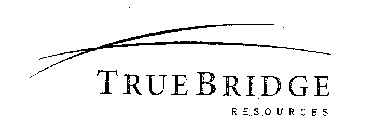 TRUEBRIDGE RESOURCES