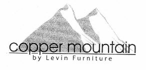 COPPER MOUNTAIN BY LEVIN FURNITURE