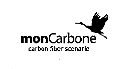 MONCARBONE CARBON FIBER SCENARIO