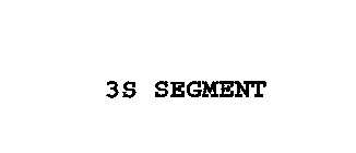 3S SEGMENT