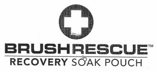 BRUSH RESCUE RECOVERY SOAK POUCH