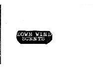 DOWN WIND SCENTS