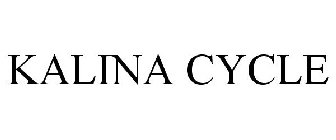 KALINA CYCLE