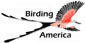 BIRDING AMERICA