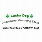 LUCKY DOG PROFESSIONAL GROOMING SALON MAKE YOUR DOG A 