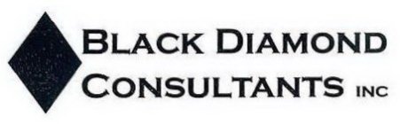 BLACK DIAMOND CONSULTANTS INC