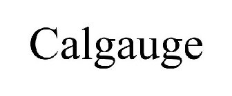 CALGAUGE