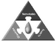 NEMATODES DISEASES INSECTS