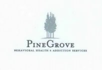 PINE GROVE BEHAVIORAL HEALTH & ADDICTION SERVICES