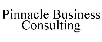 PINNACLE BUSINESS CONSULTING